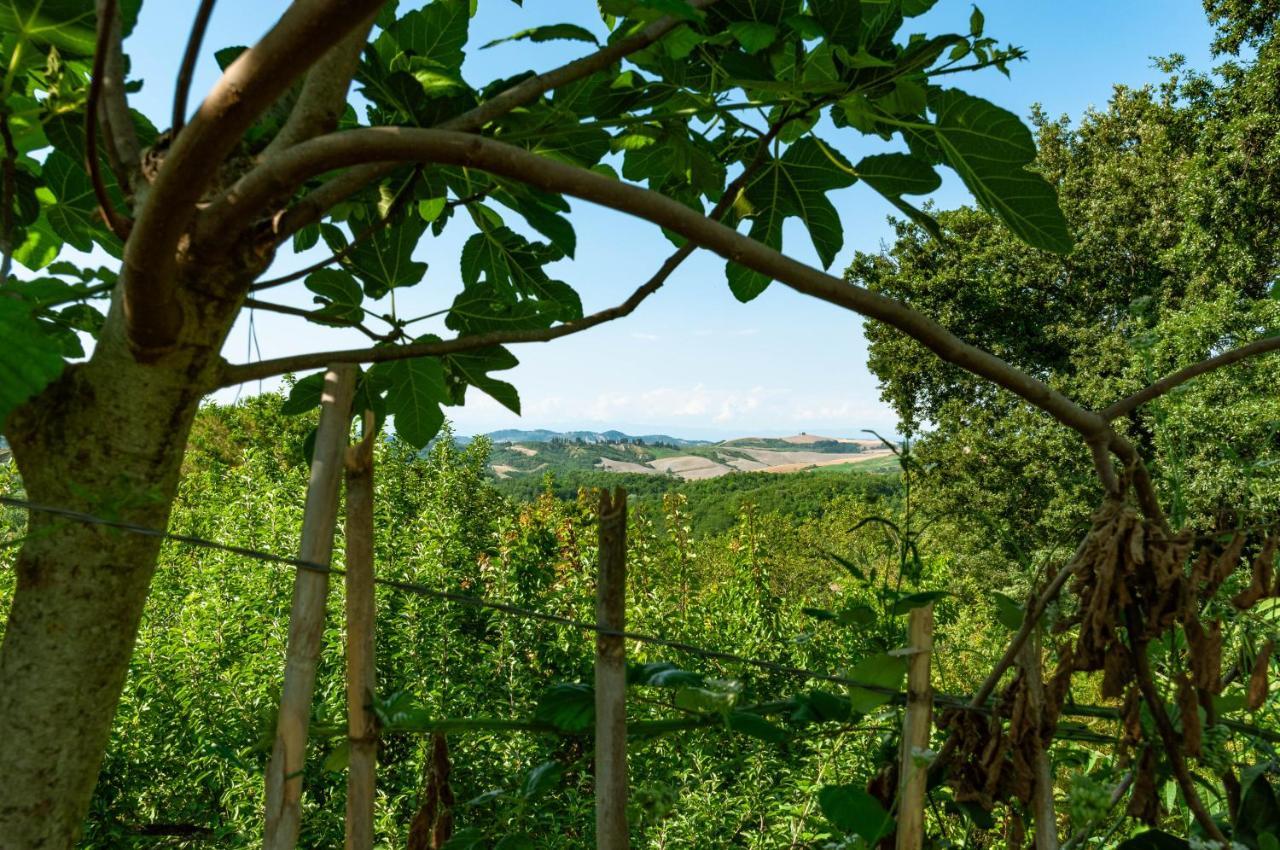 Centro Studi Nuovarmonia Cedri Esterno foto