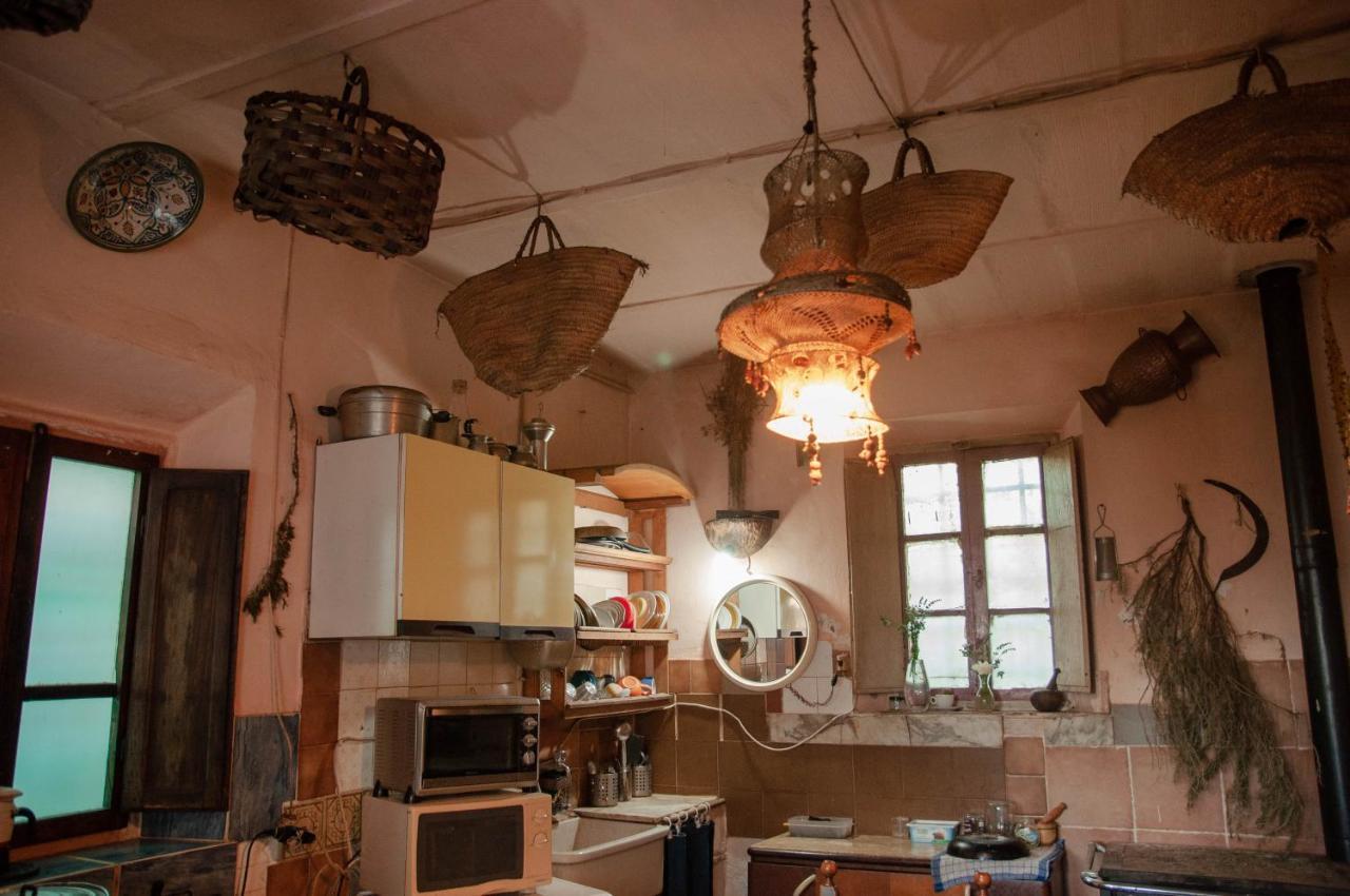 Centro Studi Nuovarmonia Cedri Esterno foto