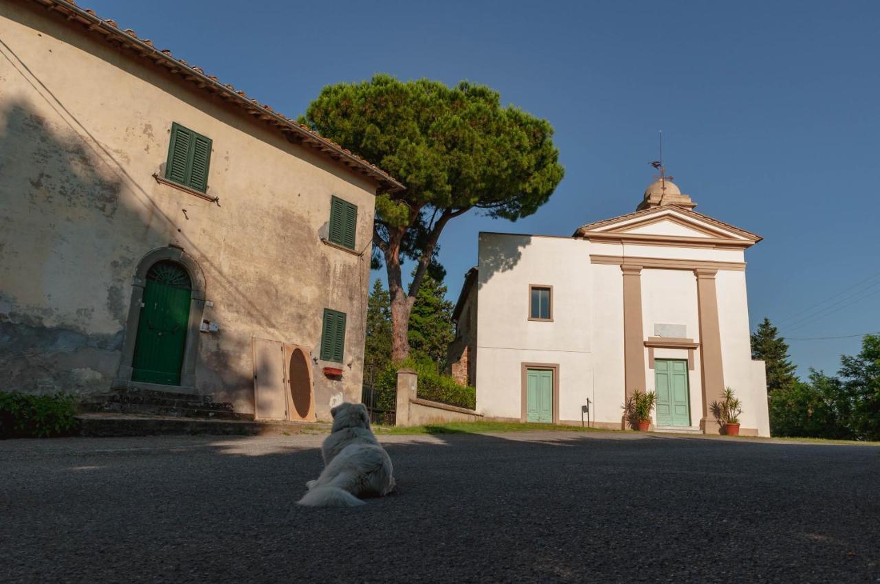 Centro Studi Nuovarmonia Cedri Esterno foto